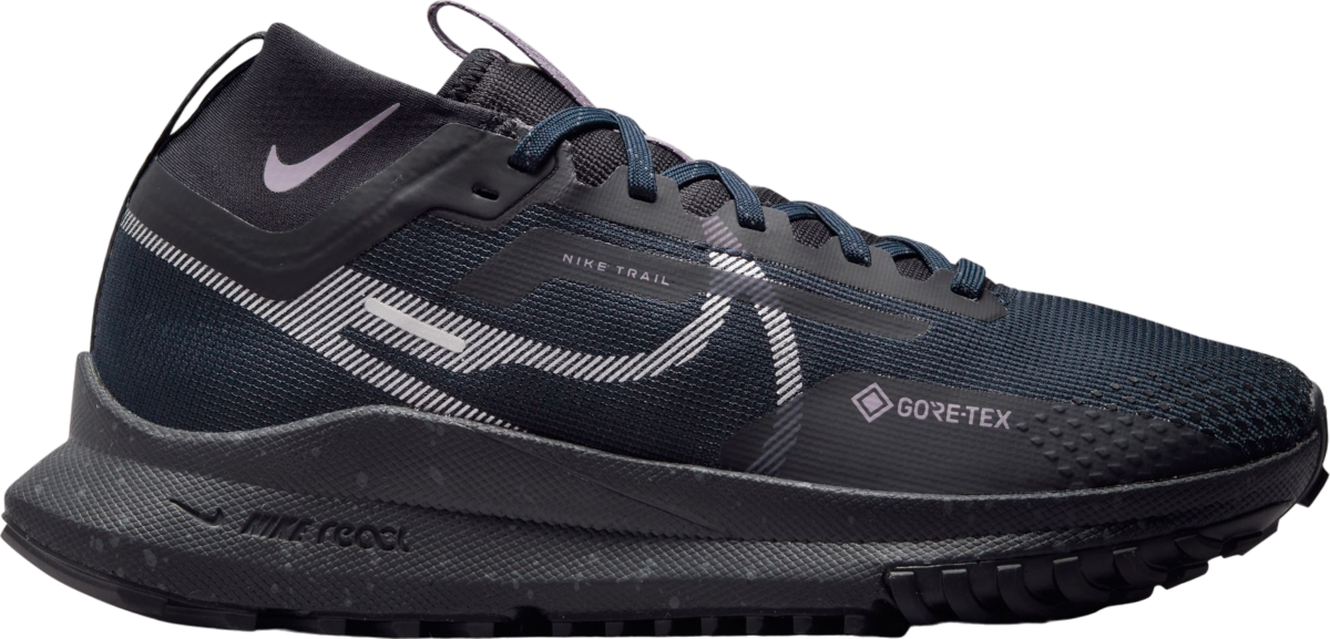 Trail-Schuhe Nike Pegasus Trail 4 GORE-TEX