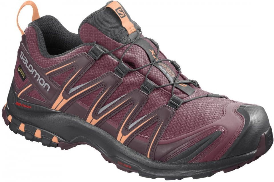 Trail-Schuhe Salomon XA PRO 3D GTX W
