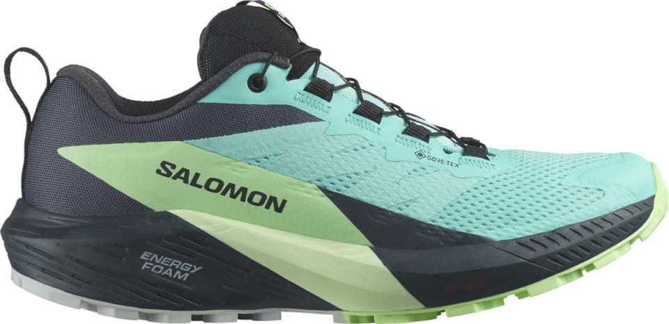 Trail-Schuhe Salomon SENSE RIDE 5 GTX W